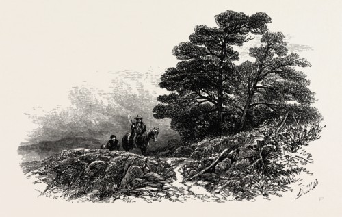 Mountain Path near Capel Curig, North Wales, UK, U.K., Britain, British, Europe, United Kingdom,
