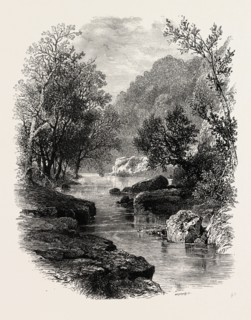 The Valley of the Wharfe, the forest scenery of Great Britain, UK, U.K., Britain, British, Europe,