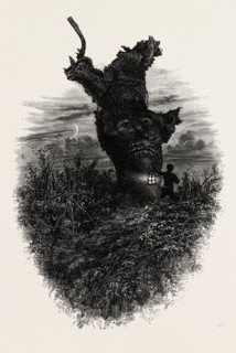 Giant oak near Cranbourne Tower, the forest scenery of Great Britain, UK, U.K., Britain, British,