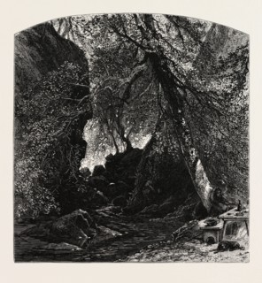 The Dargle, Ireland, Irish, Eire, 19th century engraving