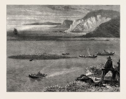 Pilchard Fishing of the Lizard, the south coast, UK, U.K., Britain, British, Europe, United