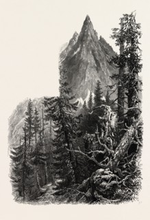 The Aiguille du Dru, Switzerland, 19th century engraving