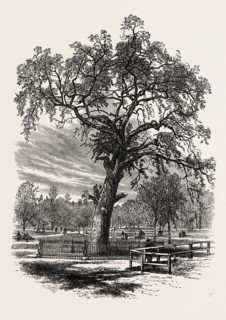 BOSTON COMMON, UNITED STATES OF AMERICA, US, USA, 1870s engraving