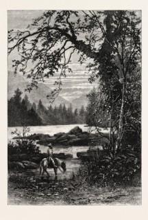 VIEW IN NORTH CAROLINA, UNITED STATES OF AMERICA, US, USA, 1870s engraving