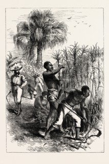 SLAVES WORKING ON A PLANTATION, UNITED STATES OF AMERICA, US, USA, 1870s engraving