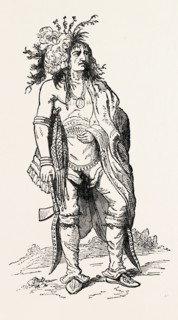 NORTH AMERICAN INDIAN, US, USA, 1870s engraving