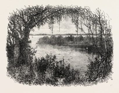 A VISTA IN SOUTH CAROLINA, UNITED STATES OF AMERICA, US, USA, 1870s engraving