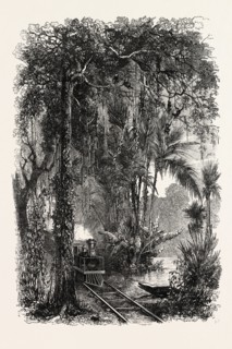 VIEW ON THE PANAMA RAILROAD, PANAMA, 1870s engraving