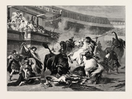 A BULL FIGHT