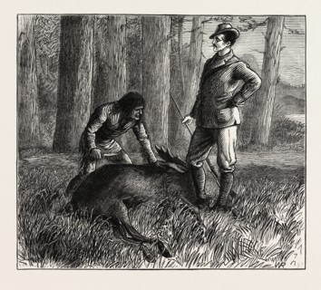 THE DEAD MOOSE