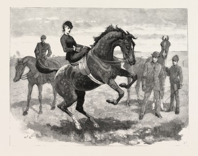 DRAWN BY JOHN CHARLTON, HORSES, engraving 1884, life in Britain, UK, britain, british, europe,