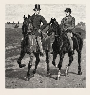 DRAWN BY JOHN CHARLTON, HORSES, engraving 1884, life in Britain, UK, britain, british, europe,