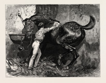 DRAWN BY JOHN CHARLTON Rubbing down the Dancing Master, engraving 1884, life in Britain, UK,