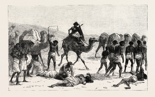 SHE WAS THEN TAKEN ACROSS THE DESERT TO THE RED SEA, engraving 1884, SLAVE TRADE, SLAVE, SLAVERY,