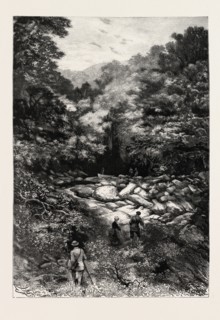 THE GROTTO OF ST. ANDRE  NEAR NICE, FRANCE , ENGRAVING 1882