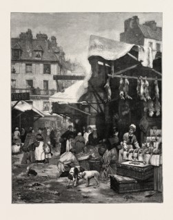 THE OLD GAME AND POULTRY MARKET IN PARIS, RANCE, ENGRAVING 1882