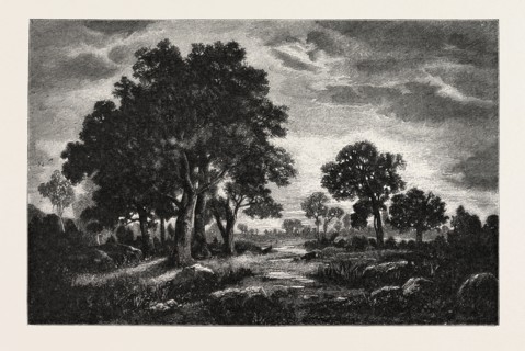 AT FONTAINEBLEAU, FRANCE,  ENGRAVING 1882