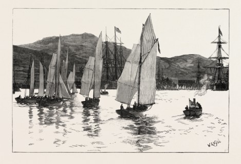 THE MEDITERRANEAN FLEET AT SIGRI THE ANNUAL REGATTA START FOR THE ADMIRAL'S CUP, ENGRAVING 1879