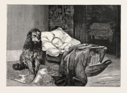 THE GORILLA AND CHIMPANZEE AT THE CRYSTAL PALACE, LONDON, ENGRAVING 1879, UK, britain, british,