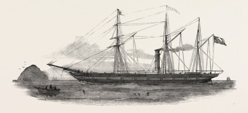 THE SCREW STEAMER ARNO, FOR THE MEDITERRANEAN, 1851 engraving