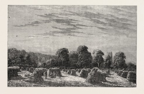 EXHIBITION OF MODERN BRITISH ART: A CORN FIELD: EVENING. PAINTED BY C. DAVIDSON, 1851 engraving