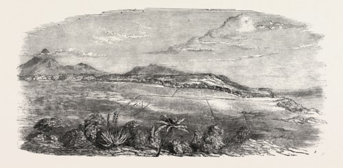 CROFTON PARK, OMATA DISTRICT, NEW ZEALAND, 1851 engraving