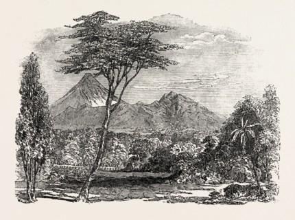 VIEW IN CROFTON PARK, NEW ZEALAND, 1851 engraving