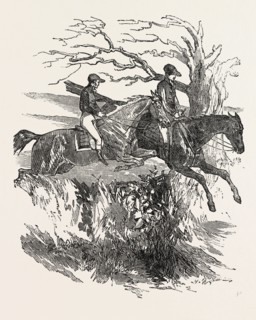 AT A STEEPLE CHASE: An exhilarating sight to see horses taking their leaps into the winning field,