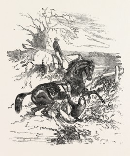 FALLING OFF A HORSE DURING A STEEPLE CHASE, HORSE, SPORT, GALLOP, STEEPLE-CHASING, RACETRACK,