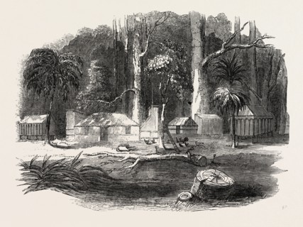 EMIGRANTS' COTTAGE, OTAGO, NEW ZEALAND, 1851 engraving