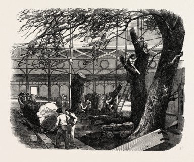 THE GREAT EXHIBITION BUILDING, THE CRYSTAL PALACE, HYDE PARK, LONDON, UK, CUTTING DOWN TREES IN THE