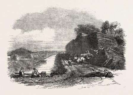 WHITTLESEA MERE, STACKING REED, BY THE HOLME LODGE, UK, 1851 engraving