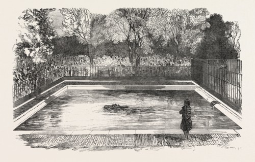 THE HIPPOPOTAMUS IN HIS NEW BATH IN THE ZOOLOGICAL SOCIETY'S GARDENS, REGENT'S PARK, LONDON, UK,