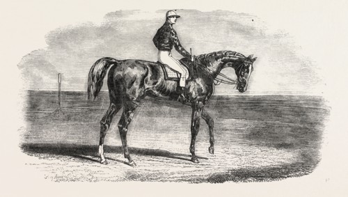 ASCOT RACES: WOOLWICH, THE WINNER OF THE EMPEROR'S VASE; Little Jack made all the running, Woolwich
