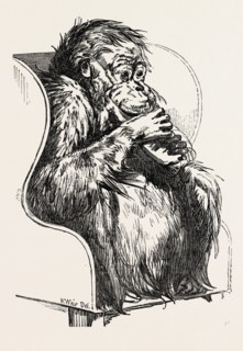 ORANG UTAN, PRESENTED TO THE ZOOLOGICAL SOCIETY'S GARDENS, REGENT'S PARK, LONDON, UK, 1851