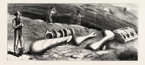 REMAINS OF GIGANTIC ANTEDILUVIAN ANIMALS RECENTLY DISCOVERED IN THE ROCKY MOUNTAINS, COLORADO,
