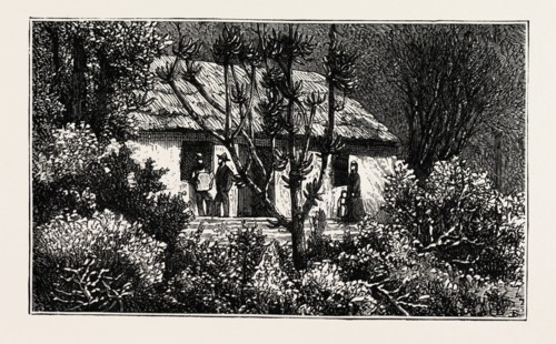 A COTTAGE IN THE BUSH, CAPE COLONY, SOUTH AFRICA