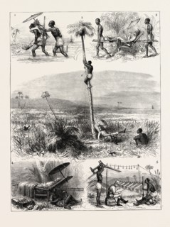 THE ASHANTEE WAR: HOW I TOOK COOMASSIE: 1. I land in great force; the main body of the enemy has