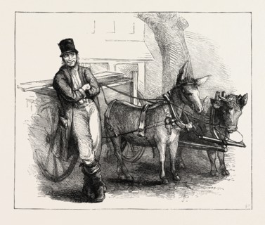 CHARACTER SKETCHES IN NORTH CAROLINA, UNITED STATES OF AMERICA: A TEAM, NOT A PAIR, US, USA, 1873