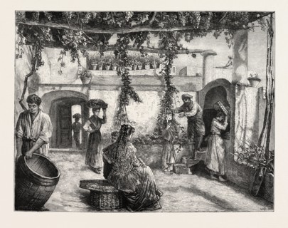 Les vendanges en Italie, 1873