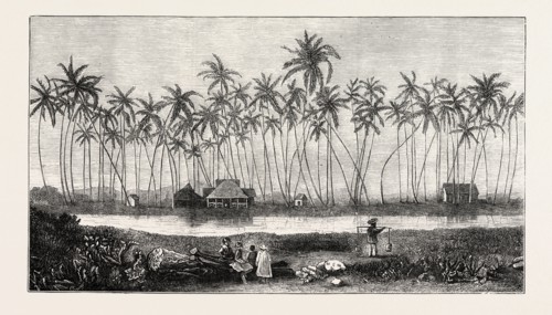 THE SUMMER RESIDENCE OF THE LATE KING KAMEHAMEHA V. AT WAIKIKI, 1873 engraving