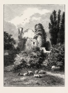 REMAINS OF ANCIENT CASTLE, HAWARDEN PARK, WALES, UK