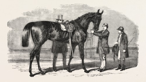 RUPEE, THE WINNER OF THE ASCOT CUP, UK, 1860 engraving