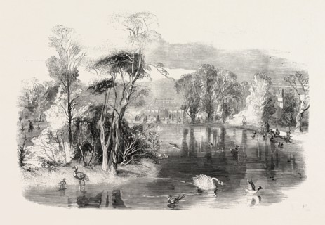 THE NEW LAKE, KEW GARDENS, LONDON, UK, 1860 engraving
