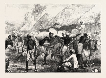 THE FAMINE IN BENGAL: LOADING GRAIN CARTS NEAR CALCUTTA