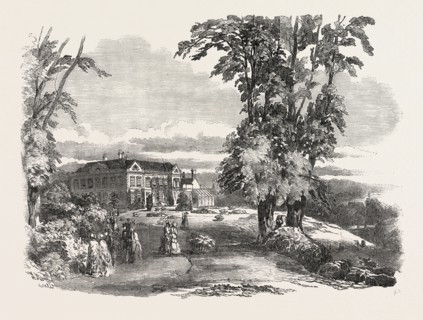 ANNIVERSARY FETE OF THE MORFE COTTAGE GARDEN SOCIETY, AT DUDMASTON, NEAR BRIDGNORTH, SALOP, THE