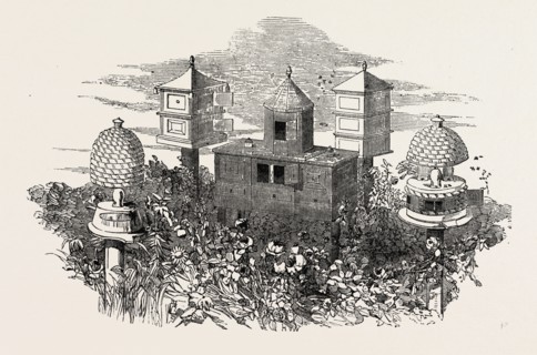 BEEHIVES, BY NEIGHBOUR AND SON