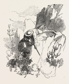 THE KAFFIR WAR: HOTTENTOT REBELS