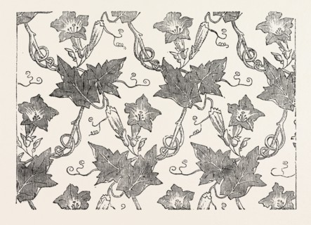 CONVOLVULUS SILK PATTERN, BY JAMES HILL AND CO., SPITALFIELDS, LONDON, UK