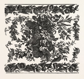 RIBBON, BY CORNELL, LYELL, AND WEBSTER